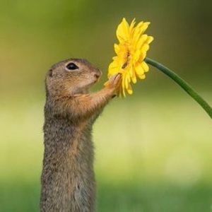 Meet your Posher, Trudy